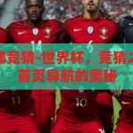 世界杯首页在哪竞猜-世界杯，竞猜之旅的起点——首页导航的奥秘，揭秘世界杯竞猜之旅，首页导航的奥秘