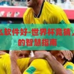 世界杯竞猜什么软件好-世界杯竞猜，选择最佳软件的智慧指南，智慧指南，选择最佳世界杯竞猜软件