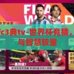 世界杯竞猜虽fc3典tv-世界杯竞猜，足球迷的狂欢与智慧较量，世界杯竞猜，足球迷的智慧狂欢