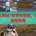 世界杯竞猜什么网站-世界杯竞猜，选择可靠网站的智慧指南，智选胜场，世界杯竞猜的可靠网站智慧指南