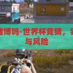世界杯竞猜是赌博吗-世界杯竞猜，界限模糊的娱乐与风险，世界杯竞猜，界限模糊的娱乐与风险