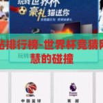 世界杯竞猜网站排行榜-世界杯竞猜网站，激情与智慧的碰撞，激情与智慧的碰撞，世界杯竞猜网站排行榜
