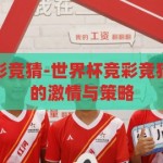 世界杯怎么竞彩竞猜-世界杯竞彩竞猜，揭秘足球迷的激情与策略，揭秘世界杯竞彩竞猜，足球迷的激情与策略