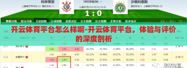 开云体育平台怎么样啊-开云体育平台,体验与评价的深度剖析 开云体育平台怎么样啊-开云体育平台,体验与评价的深度剖析