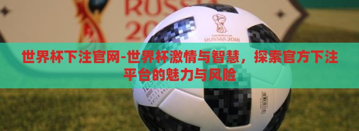 世界杯下注官网-世界杯激情与智慧,探索官方下注平台的魅力与风险 世界杯下注官网-世界杯激情与智慧,探索官方下注平台的魅力与风险