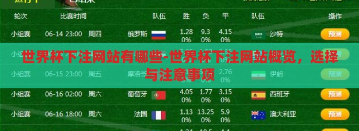 世界杯下注网站有哪些-世界杯下注网站概览,选择与注意事项 世界杯下注网站有哪些-世界杯下注网站概览,选择与注意事项