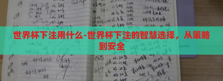 世界杯下注用什么-世界杯下注的智慧选择,从策略到安全 世界杯下注用什么-世界杯下注的智慧选择,从策略到安全