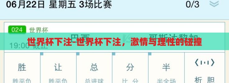 世界杯下注-世界杯下注，激情与理性的碰撞