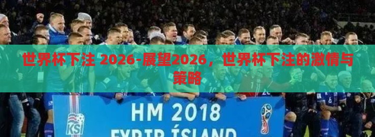 世界杯下注 2026-展望2026,世界杯下注的激情与策略 世界杯下注 2026-展望2026,世界杯下注的激情与策略