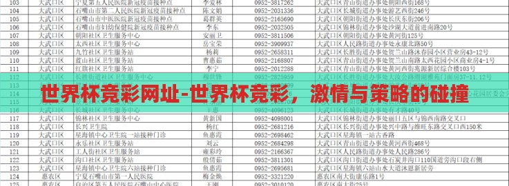 世界杯竞彩网址-世界杯竞彩，激情与策略的碰撞