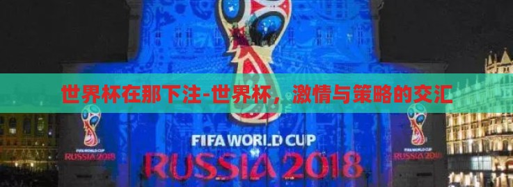 世界杯在那下注-世界杯，激情与策略的交汇