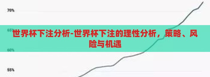 世界杯下注分析-世界杯下注的理性分析，策略、风险与机遇