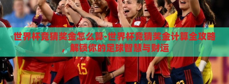 世界杯竞猜奖金怎么算-世界杯竞猜奖金计算全攻略,解锁你的足球智慧与财运 世界杯竞猜奖金怎么算-世界杯竞猜奖金计算全攻略,解锁你的足球智慧与财运