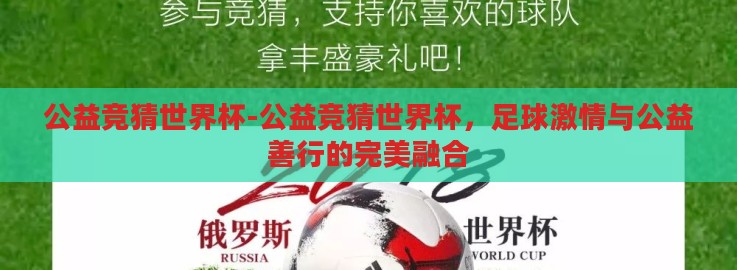 公益竞猜世界杯-公益竞猜世界杯，足球激情与公益善行的完美融合