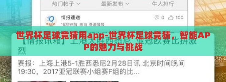 世界杯足球竞猜用app-世界杯足球竞猜，智能APP的魅力与挑战