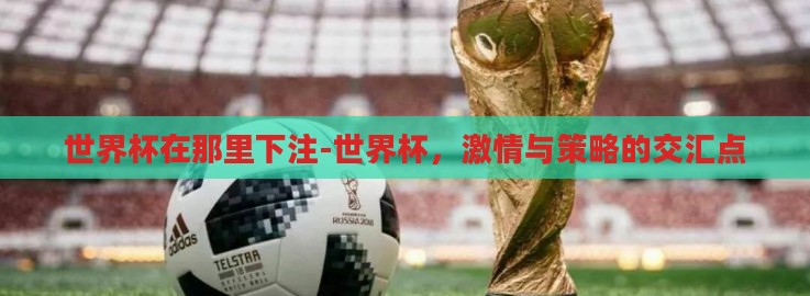 世界杯在那里下注-世界杯,激情与策略的交汇点 世界杯在那里下注-世界杯,激情与策略的交汇点