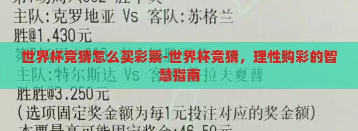 世界杯竞猜怎么买彩票-世界杯竞猜，理性购彩的智慧指南