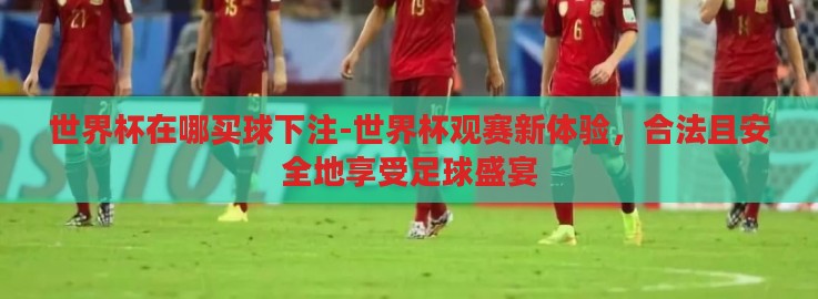 世界杯在哪买球下注-世界杯观赛新体验，合法且安全地享受足球盛宴