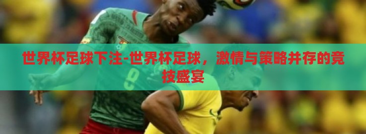 世界杯足球下注-世界杯足球，激情与策略并存的竞技盛宴