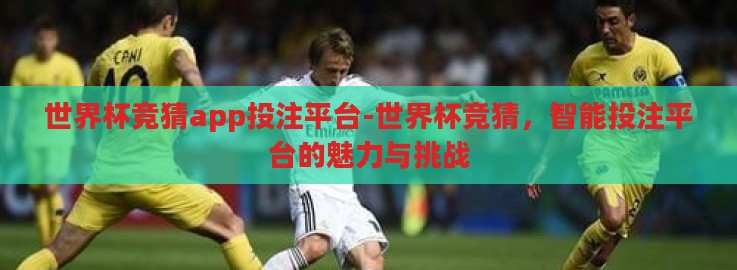 世界杯竞猜app投注平台-世界杯竞猜，智能投注平台的魅力与挑战