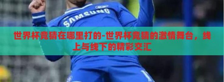 世界杯竞猜在哪里打的-世界杯竞猜的激情舞台，线上与线下的精彩交汇