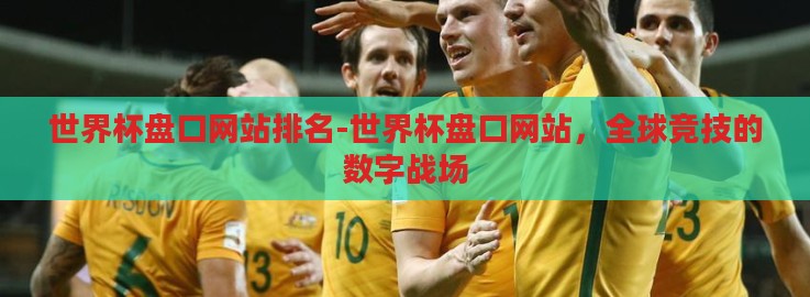 世界杯盘口网站排名-世界杯盘口网站，全球竞技的数字战场