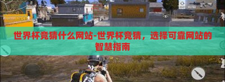 世界杯竞猜什么网站-世界杯竞猜，选择可靠网站的智慧指南