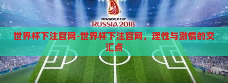 世界杯下注官网-世界杯下注官网，理性与激情的交汇点