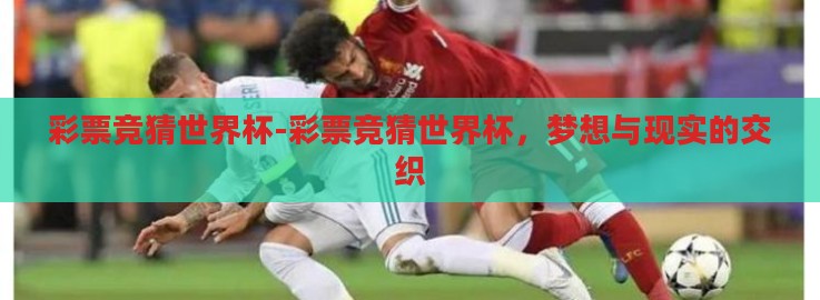 彩票竞猜世界杯-彩票竞猜世界杯，梦想与现实的交织